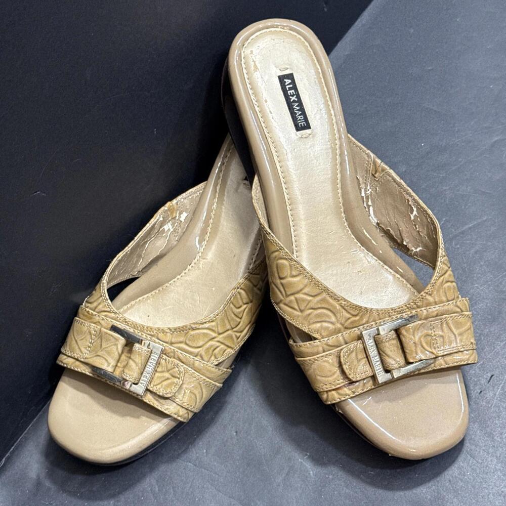 Alex Marie Hashleigh Metallic Mesh Jeweled Taupe/Silver Dress‎ Shoes Size 10 M